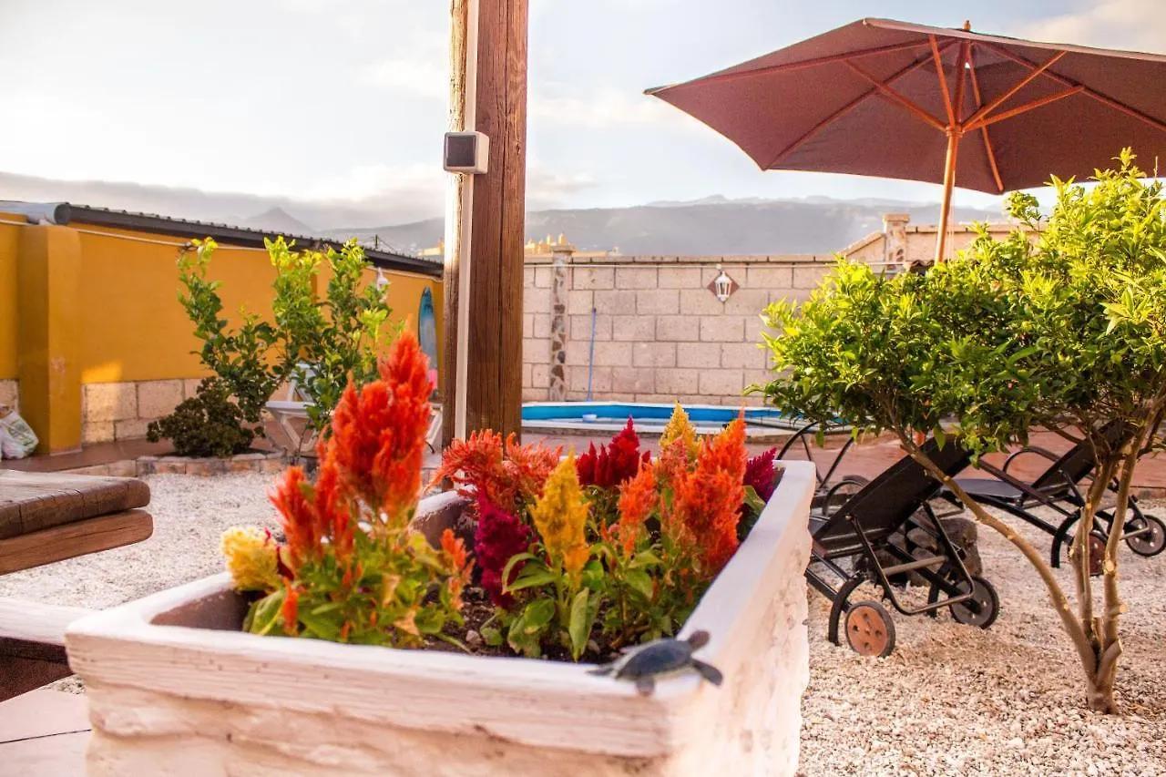 Platanito House Villa Arona  Spain